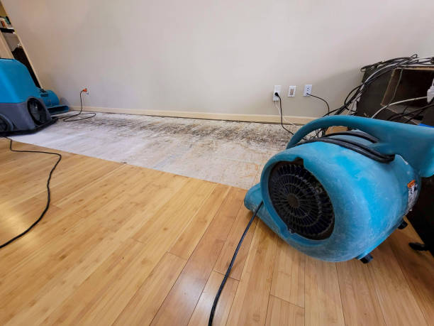 Professional Water Damage Repair technician working in San Geronimo, CA